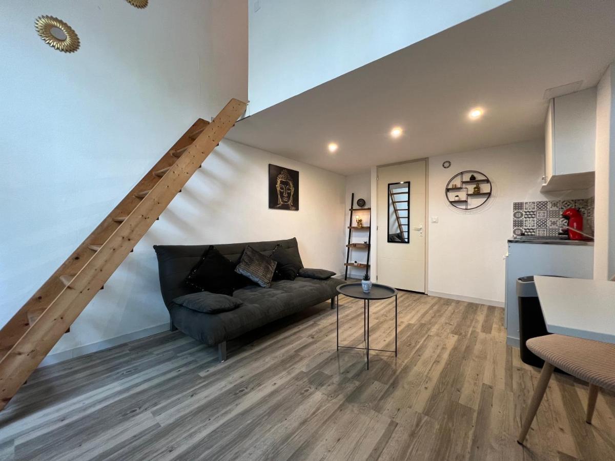 Appartement Cosy Proche Gare 圖盧茲 外观 照片
